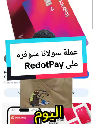 The image is a vertical composition with multiple visual elements overlaid. A red and pink credit card with the RedotPay logo is at the top, partially obscured. Below it, a turquoise rectangle contains white and a pink rectangle. The lower part of the image contains a phone displaying the RedotPay app with an overlay that contains an illustration of a bear fishing and text.