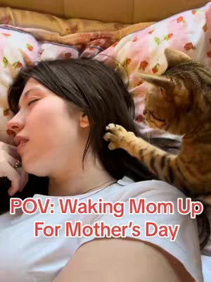 A young woman is lying in bed, seemingly asleep, with a cat positioned next to her, reaching out with a paw towards her head. The scene is illuminated with soft, natural light and the background includes bedding with a floral pattern.