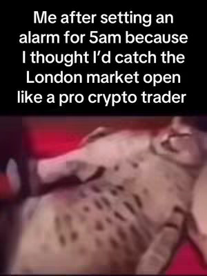 The cover image shows a meme featuring a cat lying down, seemingly in a relaxed posture. Text overlayed describes the situation in the video. The cat has mottled brown and cream fur, resting on a red background.