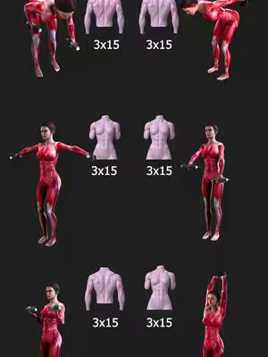 The image is a fitness infographic. It is composed of a dark background upon which multiple exercise illustrations are displayed. In red and flesh tones, images of a woman performing various upper body exercises are shown. Each exercise is paired with a 3x15 label, suggesting sets and repetitions. Additionally, in the center are anatomical illustrations of a torso. The exercise figures are arranged in a grid, demonstrating multiple workout routines