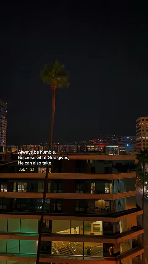 A nighttime cityscape with illuminated buildings and a tall palm tree in the foreground. The sky is dark, suggesting evening, and text overlays are present.