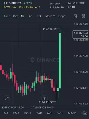 The cover image displays a cryptocurrency chart, specifically a candlestick chart, with green and red candles indicating price movements. The chart is set against a dark background, and the Binance logo is visible in the center. Numerical data related to price, volume, and time are displayed at the top and bottom of the chart.