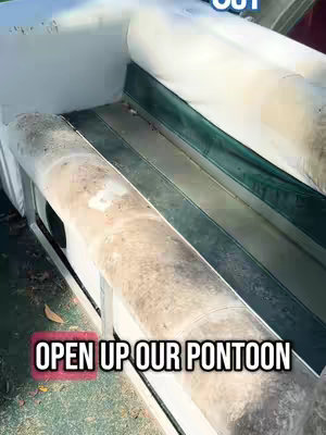 The image captures a section of a pontoon boat, showing the seating area with a partially visible white cushioned seat and a weathered, moldy surface. The color palette is dominated by shades of beige, green, and white, with an overlay of text in a red rectangle.