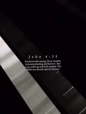 The image has a minimalist design with a dark, almost black, background. Diagonal bands of light and shadow create visual interest, with a text overlay displaying a Bible verse. The text, in a clean, sans-serif font, is centered and provides a quote from the Gospel of John, presented against a backdrop of the shadows.