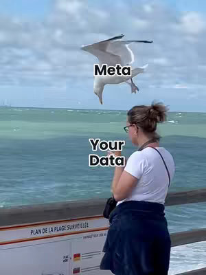 The image shows a woman from behind looking at the ocean with a seagull flying in front of her. The word "Meta" is overlaid on the seagull and "Your Data" is superimposed on the image near the woman. The overall impression is a visual metaphor for a company taking user data.