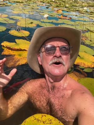A man in a tan hat and sunglasses with a mustache is in a body of water covered in lily pads. He is looking up with an open mouth and his arms are raised. The water around him appears clear. The background is a field of lily pads.