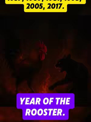 A dark image showing a rooster facing a fierce panther. Below, text in a purple box announces the video's theme.