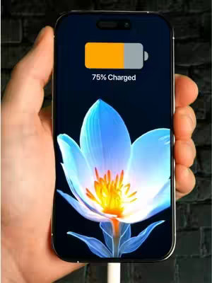 A hand holding a smartphone, displaying the wallpaper of a blue and white flower. The phone screen shows a battery charging indicator with 75% charged. The background is a blurred, dark brick wall.