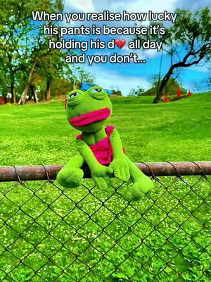 The cover image features a green frog puppet with pink lips and a pink shirt sitting on a metal fence. The background is a lush green field with trees and a blue sky. The text overlay is in white and positioned at the top of the image.