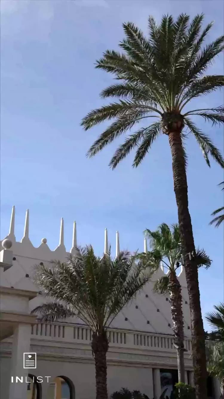 The image showcases a bright, sunny exterior view, likely Palm Beach in Cannes. Dominating the scene are tall, lush palm trees against a clear blue sky, suggesting a tropical or Mediterranean setting. In the background, there\'s a white building with a distinctive architectural design, possibly a restaurant. The composition is vertical, and the overall impression is one of luxury and natural beauty.