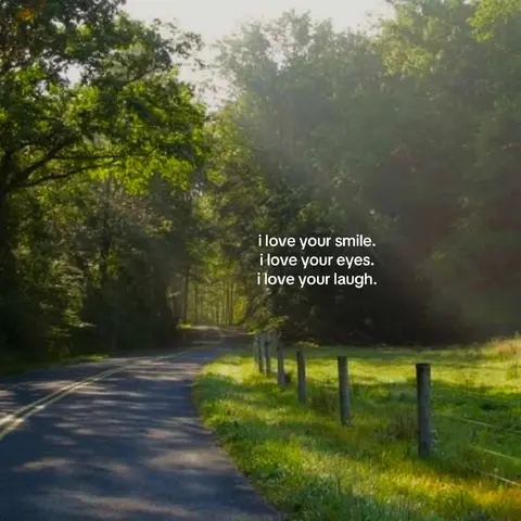A long, winding road cuts through a verdant forest, bathed in sunlight. Text overlayed on the lower right side has white text on the picture.