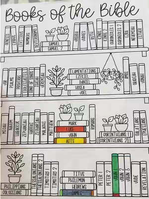 A visual representation of the books of the Bible organized on a bookshelf. The artwork features neatly arranged book spines, with plant pots and hand-drawn lettering.