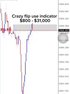 A chart showing fluctuations, likely related to financial data in a trading view application. The chart has red and blue vertical bars to show price movements, with text overlay near the top indicating a trade indicator with profit details.