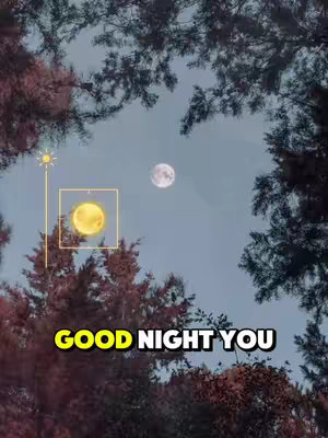 The cover image shows a night scene with trees framing a dark blue sky. In the sky, a full moon and an illuminated circle are visible. The text overlaid at the bottom reads, "GOOD NIGHT YOU".
