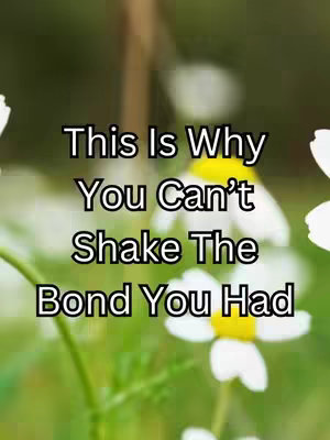 The image is a close-up of white daisy-like flowers with yellow centers, set against a soft, blurred green background. Overlaid on the image is bold, white text in a sans-serif font, which reads, "This Is Why You Can’t Shake The Bond You Had". The text is vertically stacked, filling most of the frame, with the flower details barely visible behind, creating a serene yet direct visual appeal.