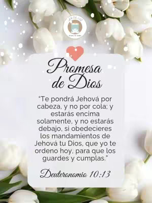 An image featuring a white background with a cluster of white tulips at the top and along the sides, a central white shape contains text in a mix of cursive and block fonts. A heart icon is above the central text, and the general appearance is soft and inviting.