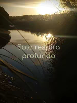 A tranquil landscape shows a serene body of water reflecting the warm hues of a sunset. Silhouetted reeds or grasses frame the scene, with text overlaid in a soft, centered font.