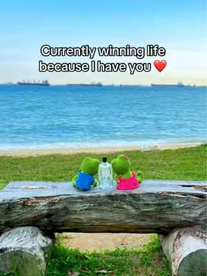The cover image shows a scenic view of a beach with clear blue water under a bright sky. In the foreground, there's a weathered wooden bench where two plush frog toys sit, one in blue and one in pink attire, with a clear bottle between them. Overlayed text reads, 'Currently winning life because I have you' and a heart emoji, suggesting a theme of companionship and positivity.