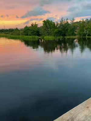 The image captures a tranquil landscape at dusk. A body of water, reflecting the colorful sky above, takes up the majority of the frame. The sky is a blend of pinks, oranges, and yellows, indicating either sunrise or sunset. The water's surface mirrors the sky, creating a symmetrical reflection. A line of trees and green foliage borders the water's edge. In the lower right corner, a wooden structure, possibly a dock or platform, adds a textured contrast to the smooth surfaces of the water and sky.