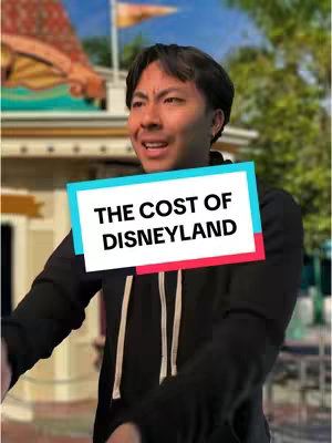 The cover image shows a young man with dark hair looking off to the side with a concerned expression. He is wearing a black hoodie with a white drawstring and is positioned in front of a Disneyland background. A rectangular overlay with the text 'THE COST OF DISNEYLAND' is superimposed over him. The background is slightly blurred.