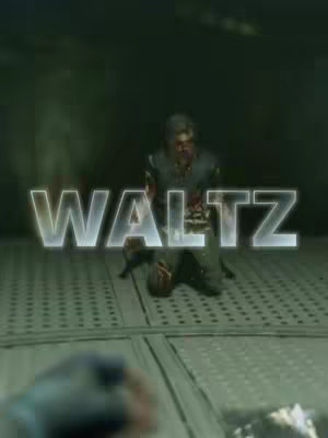 The cover image shows a dimly lit scene, possibly from a video game, featuring a kneeling male figure with visible injuries or damage. A large, glowing text overlay reads 'WALTZ'.