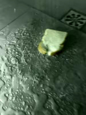 A close-up shot of water-covered surface with a piece of bread slightly submerged, surrounded by small drops and a dark, textured background, with a glimpse of a patterned tile.