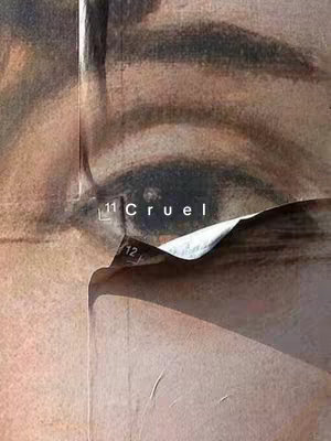The cover image features a close-up of a person's eye, with a piece of paper peeling away. The image has a vintage, textured appearance, with warm tones that make the image look old. The word "Cruel" is placed over the eye.