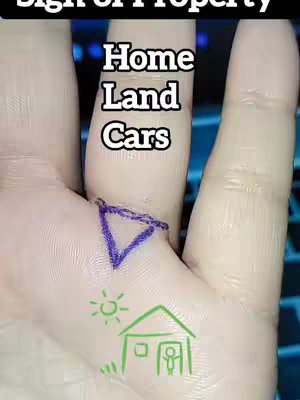 A close-up of a palm, with several drawings and text overlaid. The top of the image has the text 'Sign of Property'. In the center of the palm, the words 'Home Land Cars' are written. Underneath, there is a triangle drawn in a purple color. Further down, there is a house with a person inside next to a sun.
