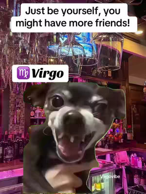 The image features a dog with a zoomed-in, expressive face. Above the dog is text that reads "Just be yourself, you might have more friends!" A "Virgo" banner is overlaid on the image. The background shows the interior of a bar.