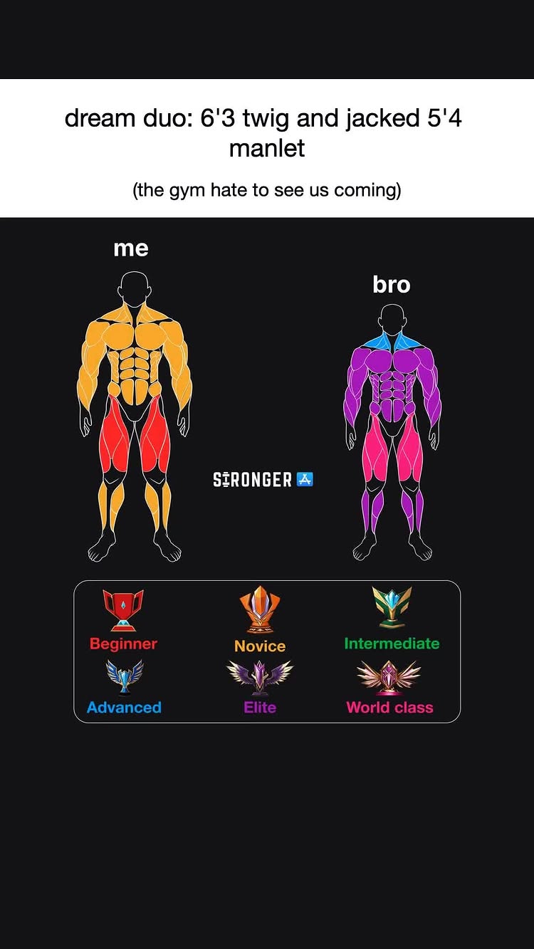 The image is a graphic comparing body types and strength levels, featuring two stick figures overlaid with muscle diagrams and color-coded zones. The left figure, labeled "me," is yellow and represents a taller, less muscular build. The right figure, "bro," is purple and muscular. Below them are icons representing strength levels like beginner, novice, intermediate etc.