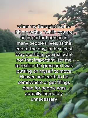 The image shows a vibrant green field with a tree and a sunset in the background. Text is superimposed on the image, appearing to be a quote or a personal reflection.