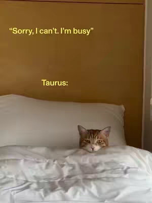 The image features a cat in a bed, with a brown and orange tabby head peeking over the covers. The background is a plain wall, and text overlays describe the content as about Taurus.