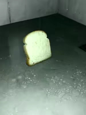 A slice of bread stands upright, presented in a dimly lit environment. The bread, light in color with a slightly browned crust, occupies a central position against a dark backdrop. Subtle details suggest a surface beneath the bread, possibly wet, which reflects light and creates small bubbles. The overall composition focuses on the solitary piece of bread, with an emphasis on its simplicity and texture.