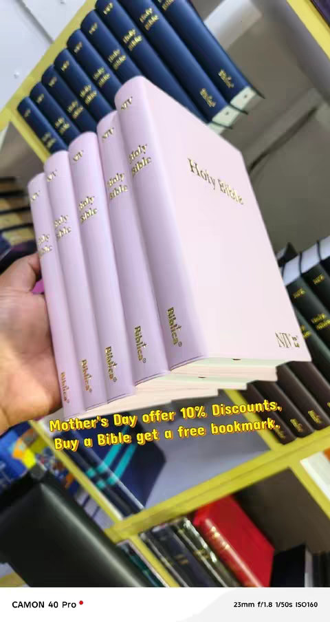 The image showcases a selection of Bibles. In the foreground, several light pink Bibles are stacked, with gold lettering that says, "Holy Bible" in bold font. The title "NIV" is visible on the edges of the books. The Bibles sit on shelf, which is made of light brown wood. Behind the Bibles, are more Bibles are visible on a higher shelf. The background includes parts of a shelf as well as some additional items.