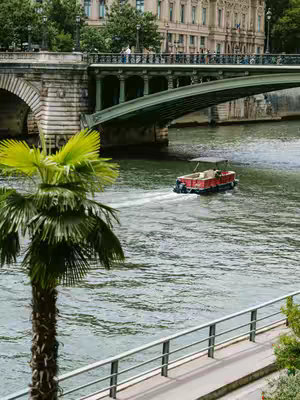 An elevated shot of a river scene with a bridge in the background. A palm tree, near the bottom left corner, frames the foreground with the river flowing in the center and a red and white boat is moving on the water, towards the right side of the image. The background features stone arches of the bridge, the green arches of the bridge and buildings. The scene is vibrant with natural colors and the sky is visible.