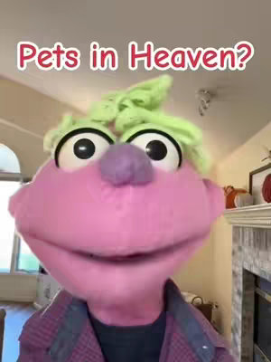 A brightly lit, indoor shot featuring a plush puppet with oversized eyes and a smiling mouth. The puppet, which appears to be of indeterminate gender, is wearing a plaid shirt. There's a green, tufted element on its head suggesting hair. The background shows a glimpse of a room with a fireplace, furniture, and a window. Red text overlayed on the image asks "Pets in Heaven?".