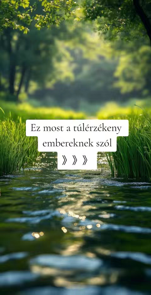 A serene image of a stream or river flowing through a green, natural environment. Tall blades of grass grow along the water's edge, and the background is blurred, suggesting a forest or dense vegetation. The water reflects the light and surrounding greenery. A white text box with the words 'Ez most a túlérzékeny embereknek szól' (This is for sensitive people) and three arrows is overlaid on the image.