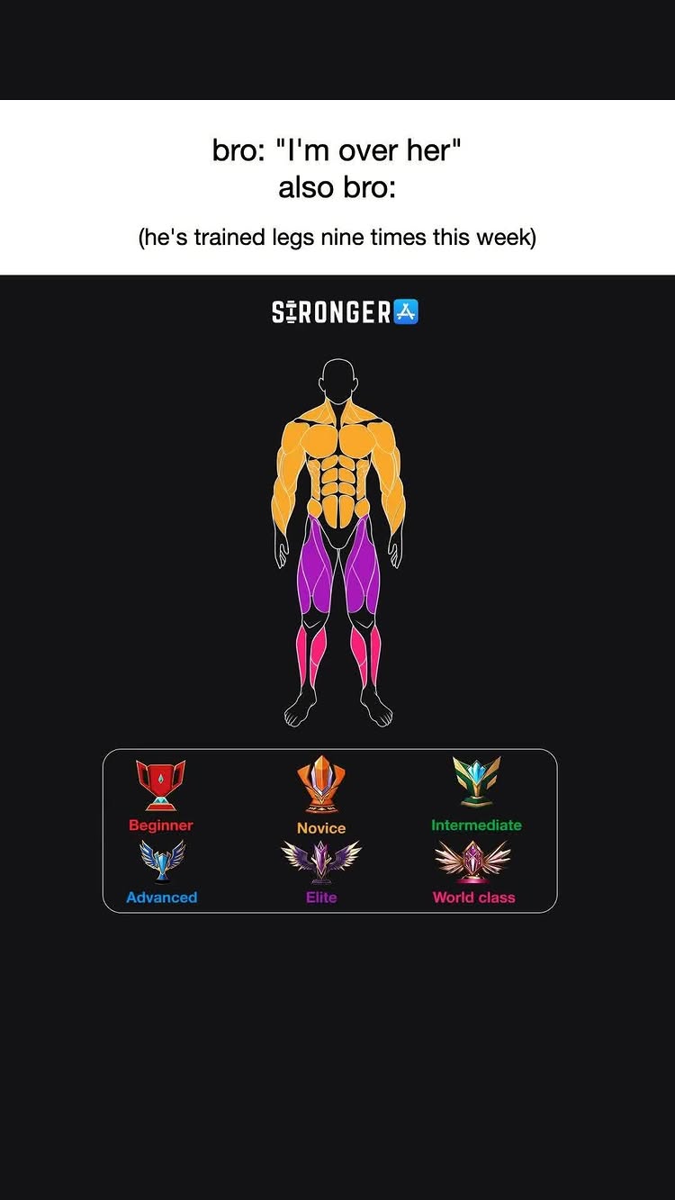 The image is a meme-style graphic with a black background. At the top, white text states, "bro: 'I'm over her' also bro" followed by, "(he's trained legs nine times this week)". Below this is the 'Stronger' app logo. An illustrated figure of a man is in the center, his muscles highlighted in orange, purple, and pink to indicate training levels. Below this figure are icons representing training levels: Beginner , Novice , Intermediate , Advanced , Elite , World class .