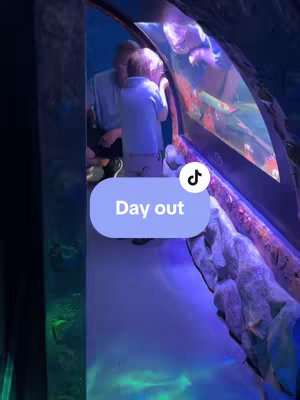 A person and a child look into an aquarium at a sea life center.