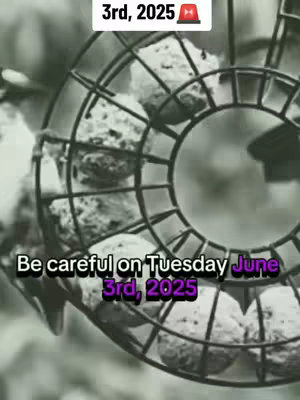 A monochrome image features a close-up view of a metal bird feeder filled with multiple round, light-colored objects, possibly food pellets or rocks. The feeder's circular structure has a dark, grid-like design. Text overlays at the top and bottom announce a specific date.