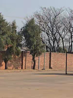 An outdoor shot featuring a paved area in the foreground, flanked by a brick wall on the right and a low brick wall and trees on the left. Behind the brick wall on the right, there's a line of trees, and beyond the trees, the sky is light blue. The overall composition is dominated by the brown tones of the brick and pavement, offset by the green of the trees and the blue sky.