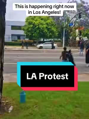 The image captures a street scene with a protest. In the foreground, there's green grass and parts of a tree. In the mid-ground, a road and people are visible with a car. The sky is overcast. Text overlays highlight the Los Angeles location and the word 'Protest'.
