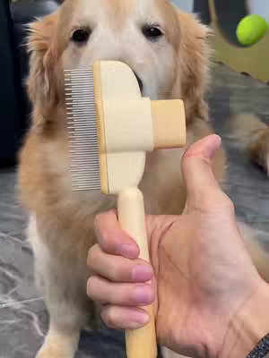 A golden retriever dog is having its fur brushed with a yellow and silver pet brush, held by a person’s hand. The dog is looking up at the hand holding the brush.