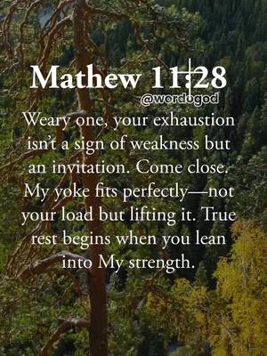 The image features text overlaid on a scenic background of trees and foliage. The text, written in a clear, sans-serif font, is centered and stacked, forming a quote. The background shows a forest with varying shades of green and brown, providing a natural and textured backdrop.