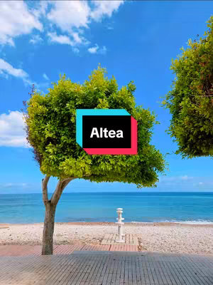 A scenic view of a beach with a clear blue sky. The foreground features a paved pathway, sand, and ocean visible in the distance. Two green leafy trees frame the view with the text overlay in the center. The sky is bright blue with scattered clouds.