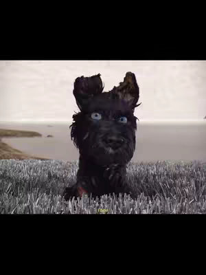 The cover image features a close-up shot of a CGI dog's head, likely from an animated film. The dog has black fur, distinctive ears, and blue eyes. The background shows a blurred landscape with a light-colored sky and water. The dog is positioned on a grassy area.