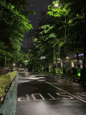 A nighttime street scene. The road is wet, reflecting the lights from trees. A row of trees lines the road on both sides, lit by streetlights above and some lighting below.