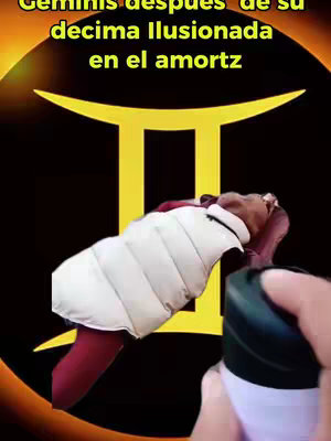 The cover image features a person in a white vest with the zodiac symbol for Gemini in the background. The text overlay reads in Spanish.
