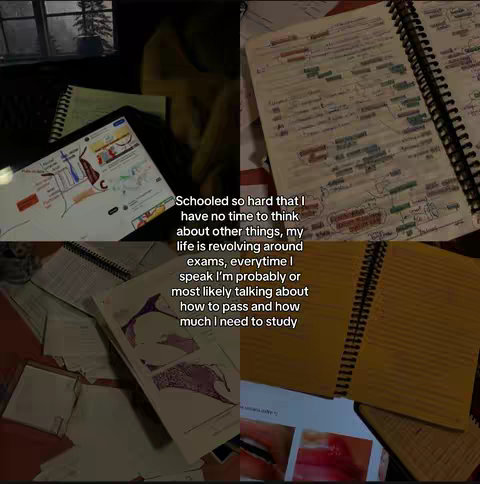 The image is divided into four quadrants showing a study setup. On the top left, there's a dark window overlooking a tree. An open laptop displaying what appears to be anatomy sketches is in the first quadrant, and a notebook is in the top right. The bottom quadrants show additional notebooks and loose pages filled with notes, suggesting an active study environment. The composition is slightly cluttered, emphasizing heavy study routine.