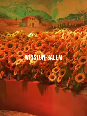 The cover image features a field full of orange-yellow sunflowers. In the background, there is a glimpse of a landscape with trees, a building, and an orange sky. The words "WINSTON-SALEM" are displayed in white across the center of the image.